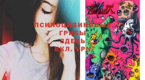 молекула духа Киренск
