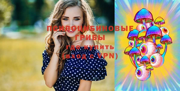 молекула духа Киренск