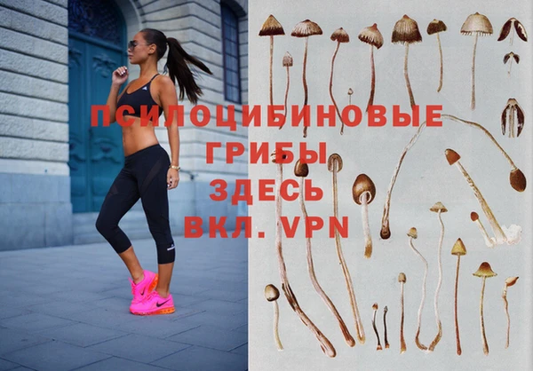 мескалин Киреевск