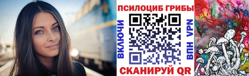 Купить где  Болгар  Галлюциногенные грибы Magic Shrooms 